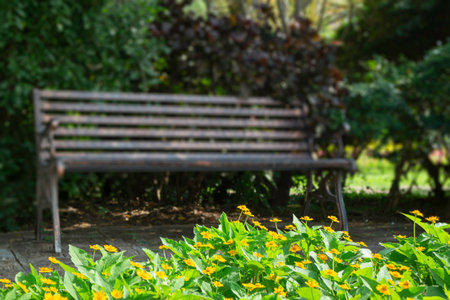 Single  empty public park bench, stock photoの写真素材