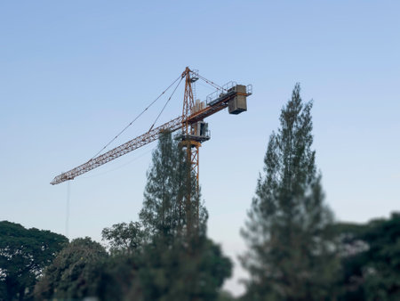 Landscape summer season in the public parkの写真素材