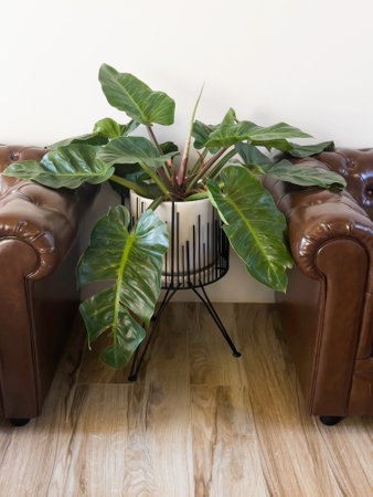 Coffee cafe shop or modern cafeteria concept interior, stock photoの写真素材