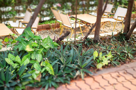 Coffee shop interior vintage style in Thailand, stock photoの写真素材