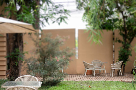 Summer garden with blooming flowers