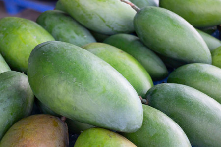 Pile of green mangoes at market, stock photoの写真素材