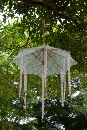 Umbrellas hanging inside tree of public park, stock photoの写真素材