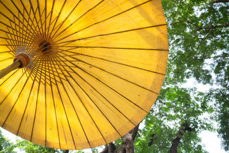 Umbrella outdoor market in the garden, stock photo