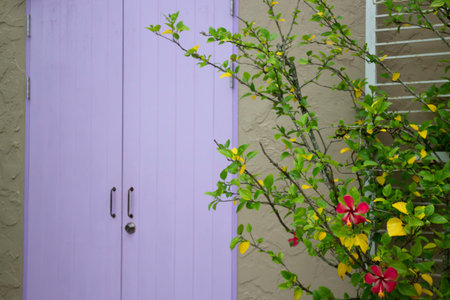 Exterior and interior of stock photoの写真素材