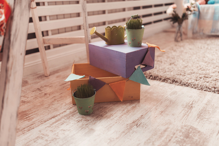 Small green plant at ceramic flowerpot with boxes and watering can in the roomの写真素材