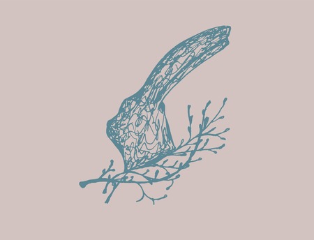 rabbitのイラスト素材