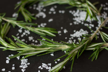 sprig of rosemary on a gray backgroundの写真素材