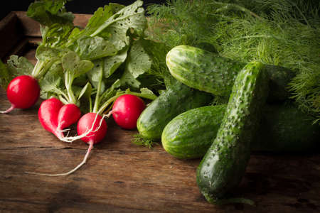 radishes, cucumbers and dillの写真素材