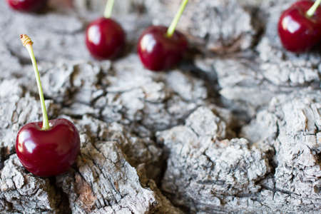 ripe cherry on a background of tree barkの写真素材