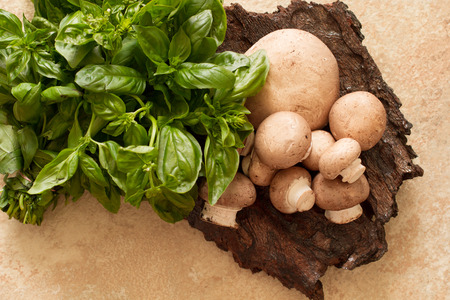 meadow mushroom mushrooms on wooden backgroundの写真素材