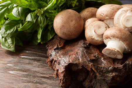 meadow mushroom mushrooms on wooden backgroundの写真素材