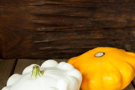 ripe pumpkin with autumn squash for Halloweenの写真素材