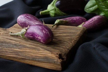 small eggplants with basil on a black backgroundの写真素材