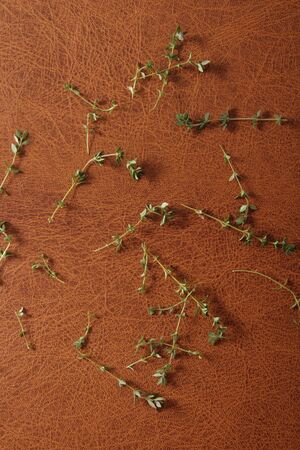 seasoning herb thyme, Italian spices
