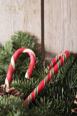 Christmas cake with homemade caramel cane on the background of treesの写真素材