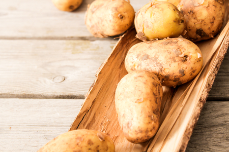 potatoes just vykapannaya from the ground on a wooden backgroundの写真素材