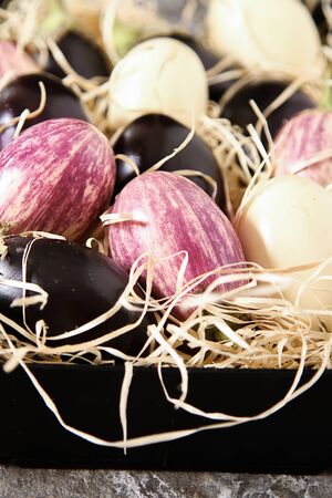 Fresh eggplants of different color on dark wooden background.の写真素材