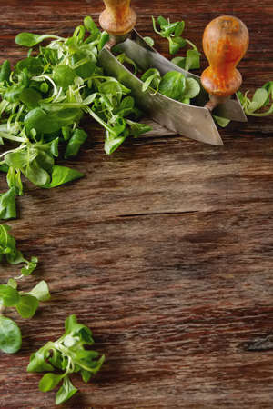 Fresh organic salad over a rustic dark wooden mezzalunaの写真素材