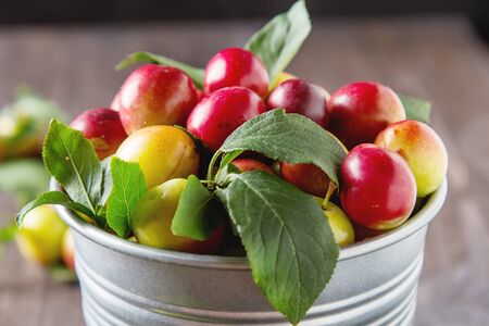 Ripe plums in aluminum mug. Dark wood background