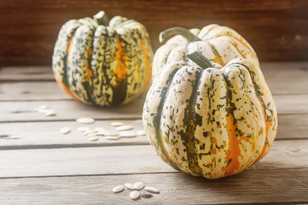 Halloween symbol. Ripe pumpkins from the farm on the wooden boardの写真素材