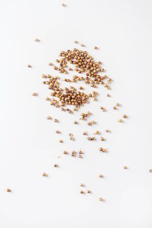 Spices for meat dishes and baking. Whole coriander seeds. White background. isolatedの写真素材