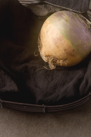 Ripe purple turnips with green leaves. Grey stone background