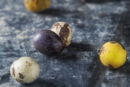 Multi-colored easter eggs.  quail. Dark background. Spring holiday.の写真素材