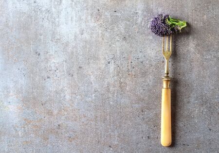 Fresh purple broccoli. Vegan food. Dark background