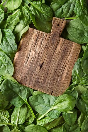 Washed fresh mini spinach on the old concrete table.
の写真素材