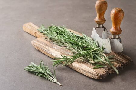 Mix of fresh Italian herbs from garden on an old table. Rosemary, temyan, oregano. Dark backgroundの写真素材