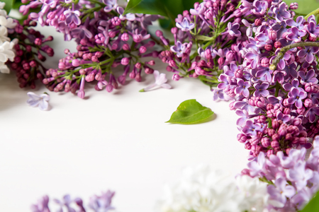 Spring flowers. Lilac flowers on white wooden background. Top view, flat lay.の写真素材