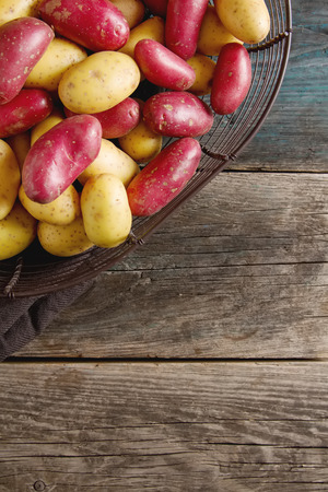Body multicolored potatoes, Dark background. The farm market. Food for a vegan and a vegetarian. Diet, detox, food conceptの写真素材