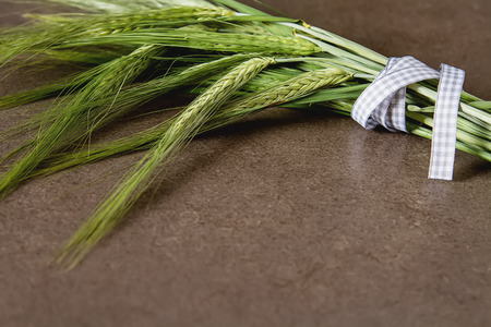 Green wheat on a simple stone background. Cereals, an ingredient for bread