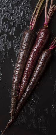 Ripe black carrots. Dark stone background. Autumn harvest.の写真素材