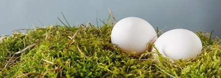 Easter background with Easter eggs. copy spaceの写真素材