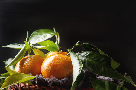 Orange ripe tangerine on the green branch with leaves. Gray backgroundの写真素材