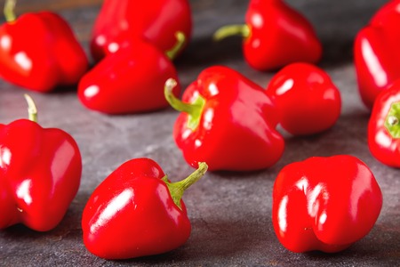 Italian food is small peppers. Delicious vegetarian food. Dark backgroundの写真素材