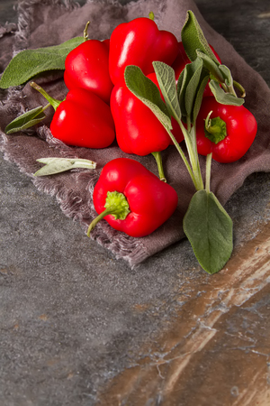 Italian food is small peppers. Delicious vegetarian food. Dark backgroundの写真素材