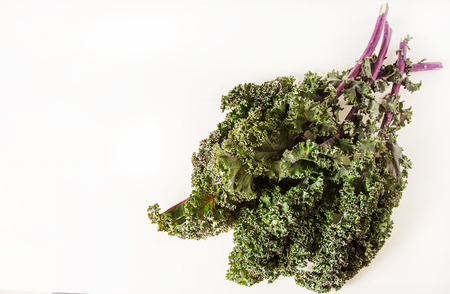 Fresh leaves of cabbage Kale.の写真素材