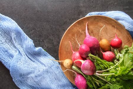 Freshly picked colorful radishes. Growing vegetables. Vegetarian food. Dark backgroundの写真素材