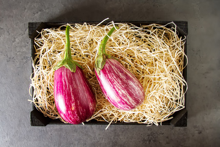 Healthy and delicious purple eggplants on the straw. dark backgroundの写真素材