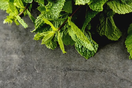 Fresh mint leaves. Italian herbs. Dark backgroundの写真素材