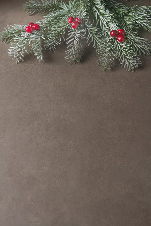 Christmas tree branch cranberries. Dark gray stone backgroundの写真素材