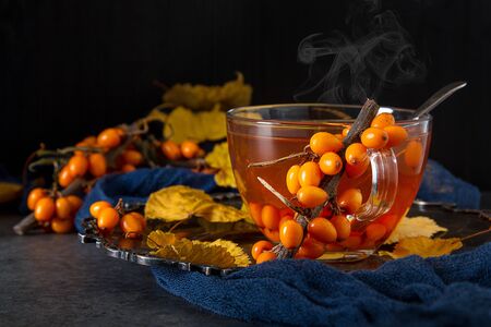 Autumn meal. Sea buckthorn tea. Dark backgroundの写真素材