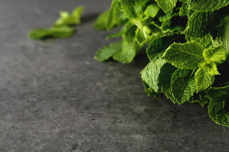 Fresh mint leaves. Italian herbs. Dark backgroundの写真素材
