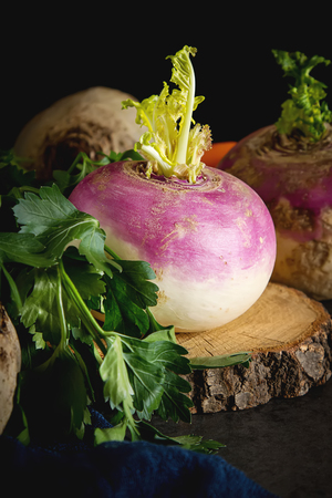 Ripe turnips, beets, carrots, pumpkin and parsley. Dark background. Vegetarian foodの写真素材