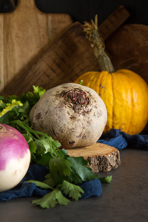 Ripe turnips, beets, carrots, pumpkin and parsley. Dark background. Vegetarian foodの写真素材