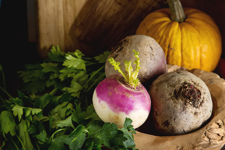 Ripe turnips, beets, carrots, pumpkin and parsley. Dark background. Vegetarian foodの写真素材