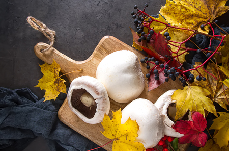 Portobello fungi. Tasty and large mushrooms. Italian Cuisine. Dark backgroundの写真素材